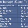 o negative blood type ancestry
